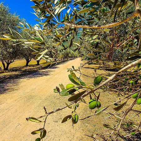 Le 4* Sagone (Corsica)