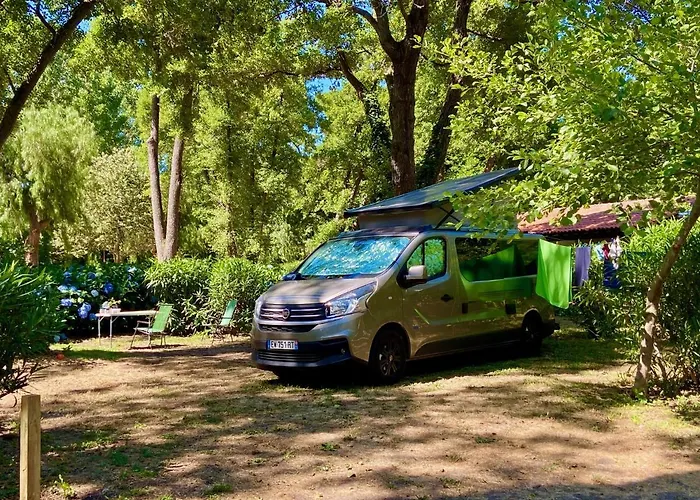 Le Campsite Sagone (Corsica)