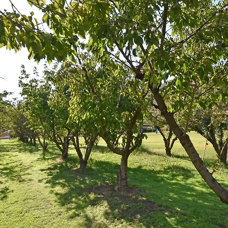 Camping Le Sagone Campingplads 4*