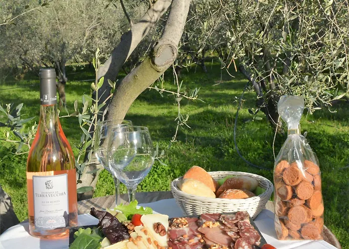 Le Kemp Sagone (Corsica)