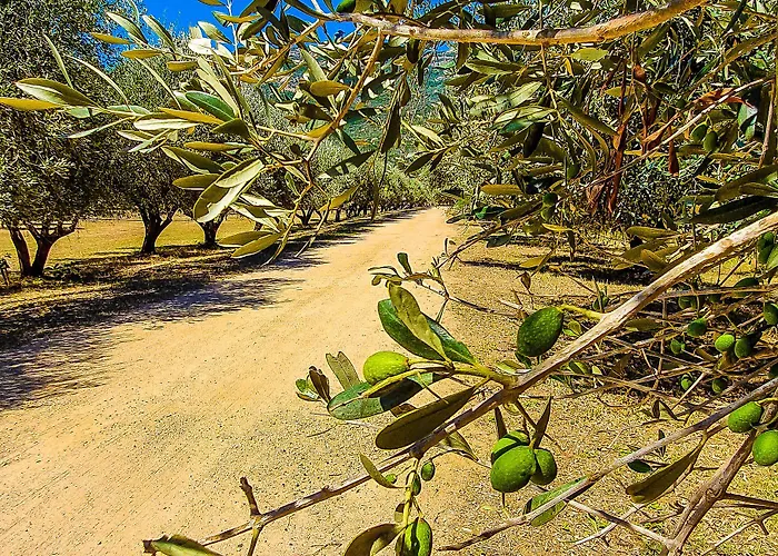 Le 4* Sagone (Corsica)